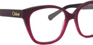 Chloé CH0241O 003 17 53